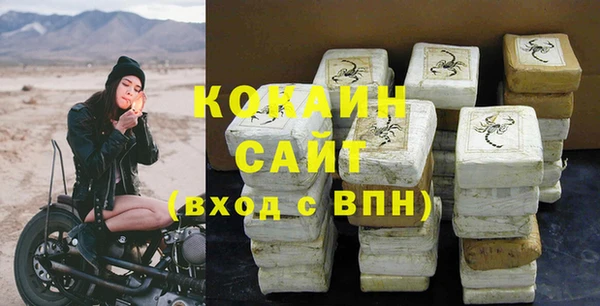 твердый Богданович