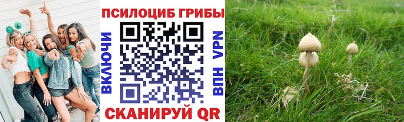 МЕГА маркетплейс  цена   Ессентукская  Галлюциногенные грибы ЛСД 